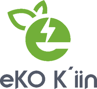 Eko KiiN